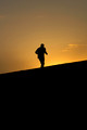 Perseverance