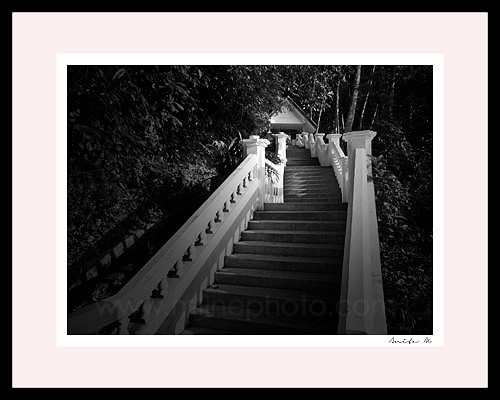 "The stairway"