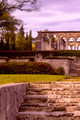 Ruins of the Cloisters #1