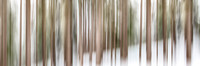 Wintry rhythm #1