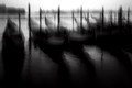 gondolas at dawn - venice, italy   /anita m