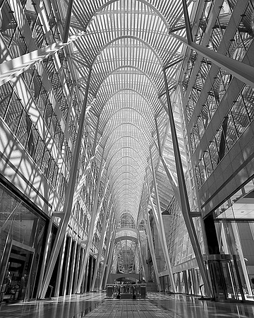 Lines
