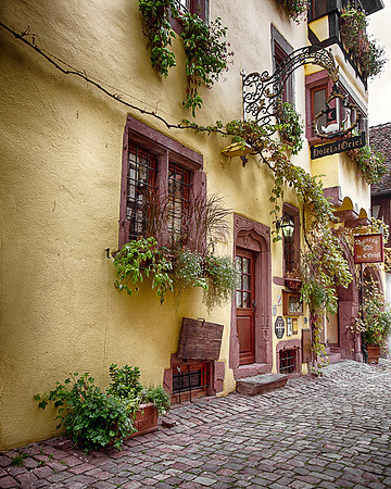 Riquewihr, Study 3