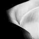 Flowers/Plants